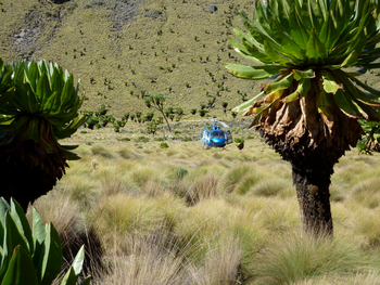 Sirikoi Lodge Sirikoi Lodge: Lobelien