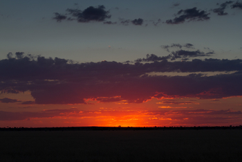 Tau Pan Camp Tau Pan Camp: Letztes Licht