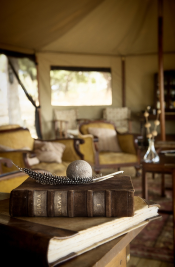 Chada Katavi Camp: Deko