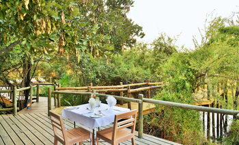 Chobe Bakwena Lodge Chobe Bakwena Lodge: Dinner auf dem Deck