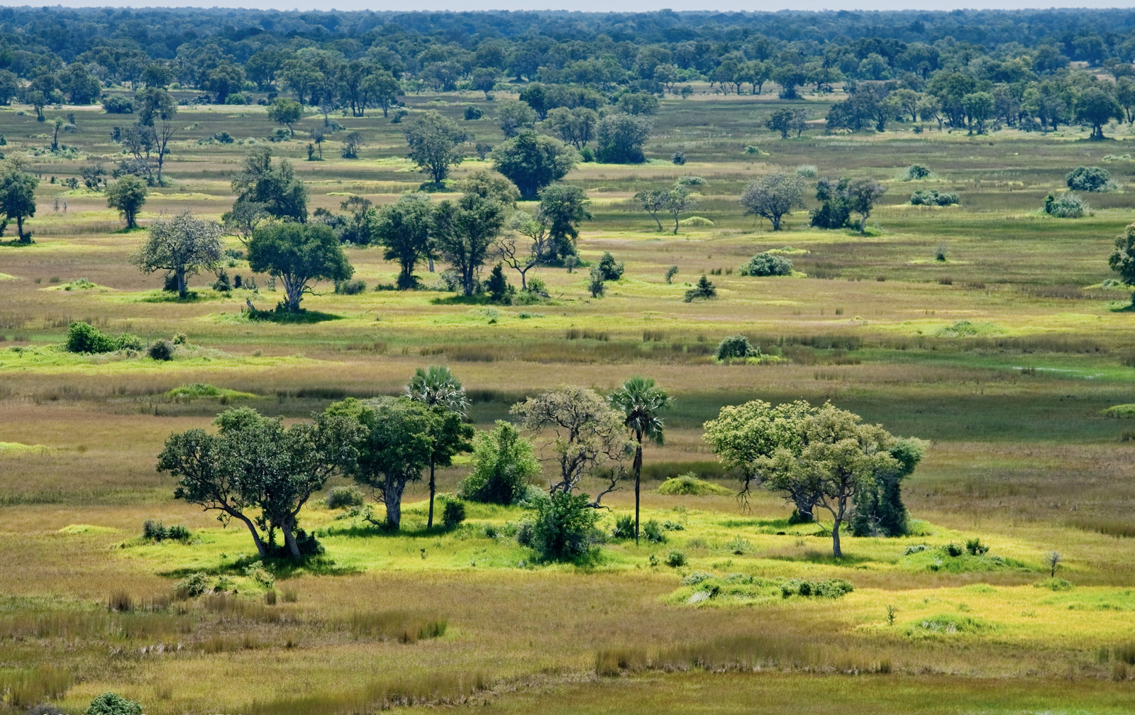 Delta Camp Delta Camp: Landschaft