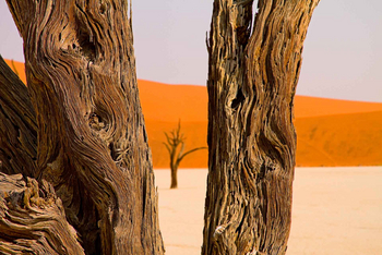 Desert Homestead Lodge Desert Homestead Lodge: Ausflug ins Sossusvlei