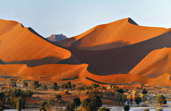 Desert Whisper: Dünen am Sossusvlei