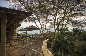 Hatari Lodge: Haupthaus-Terrasse
