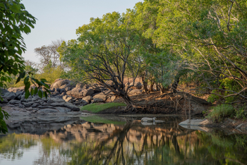 KaingU Safari Lodge: Fluss vor dem Family House