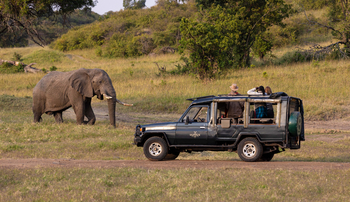 Kicheche Mara Camp: Game Drive
