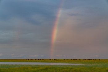 King Lewanika Lodge: Regenbogen