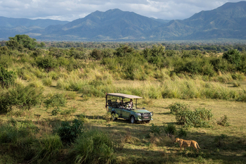 Little Ruckomechi Camp: Safari