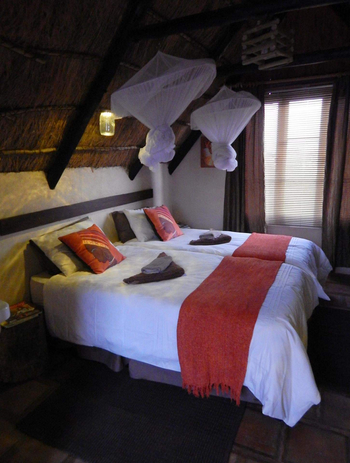 Mesosaurus Fossil Camp: Chalet