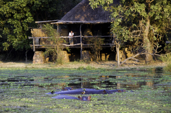 Mfuwe Lodge: Hippo Pool