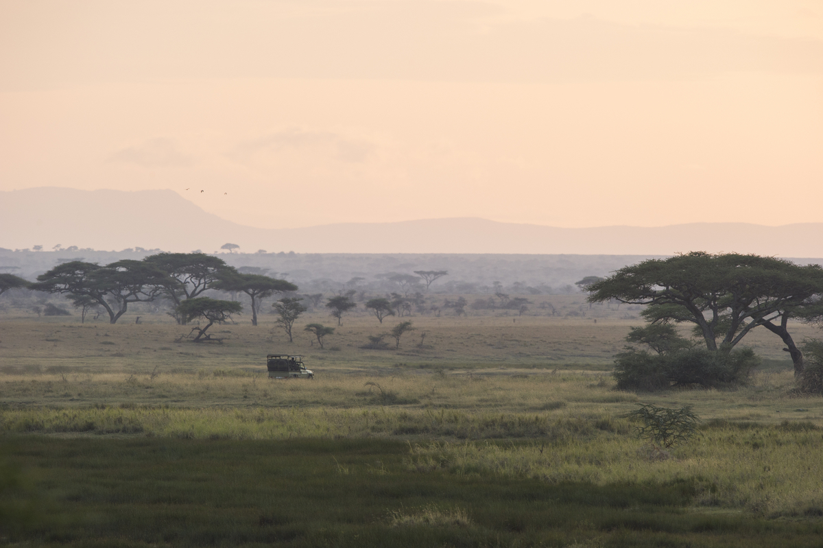 Namiri Plains Camp