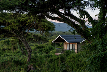 Ngorongoro Lion's Paw: Executive Family Suite