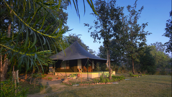 Pench Jungle Camp: Luxury Safari Tent