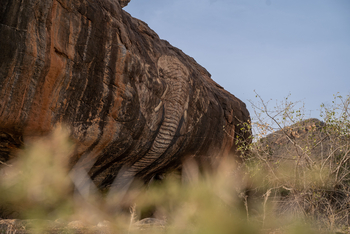 Reteti Elephant Sanctuary Reteti Elephant Sanctuary: Elephant Rock