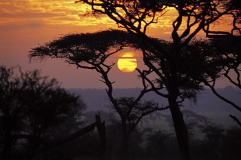 Sanctuary Swala: Sonnenuntergang