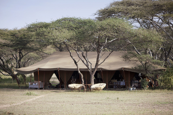 Serian Serengeti South: Hauptbereich