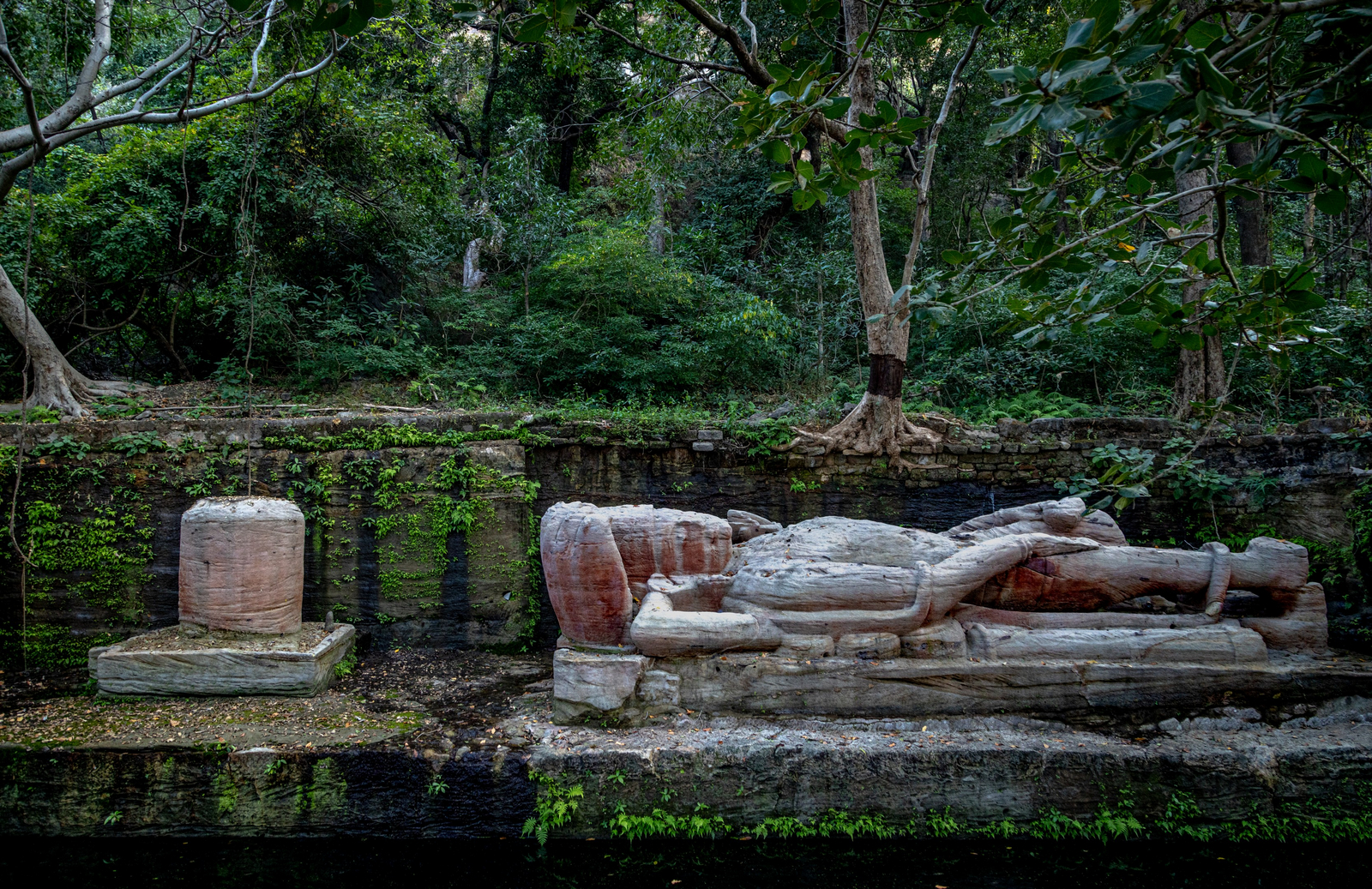 The Untamed Bandhavgarh The Untamed Bandhavgarh: Tempelruinen