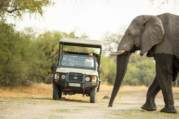 Camp Khwai: Game Drive
