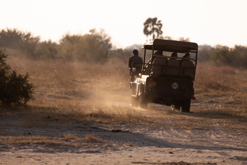 Camp Kuzuma: Game Drive