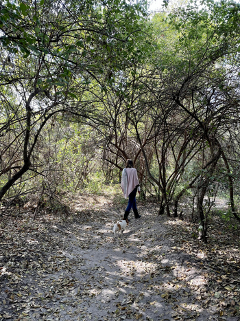 Chundukwa River Lodge: Garden Walk