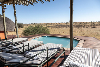 Kalahari Red Dunes Lodge: Pool mit Liegestühlen