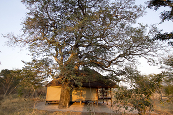 Khulu Bush Camp Khulu Bush Camp: Gästezelt