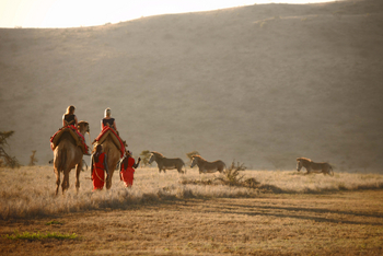 Lewa Safari Camp: Camel Trekking