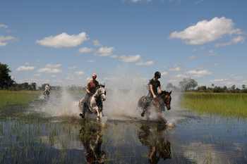 Macatoo Camp: Pferde auf Flood Plain
