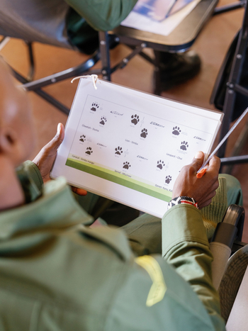 Mara Bushtops: Tracking School