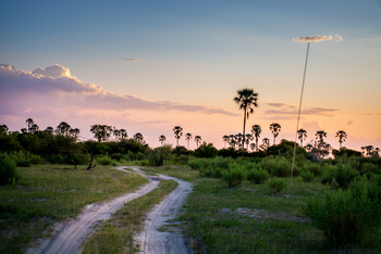 Moremi Crossing: Piste