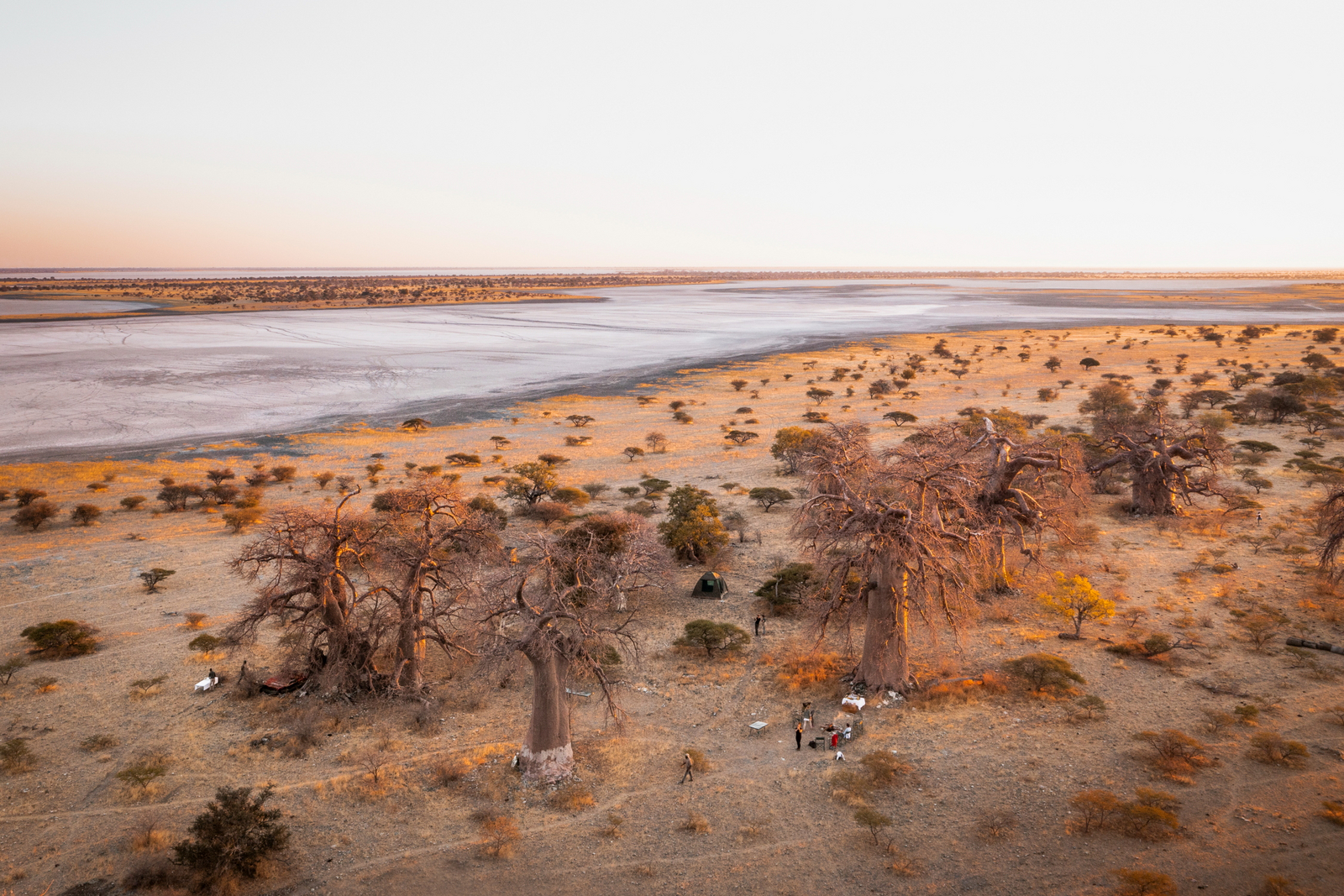 Camp Kalahari Camp Kalahari: Kubu Island Luftbild