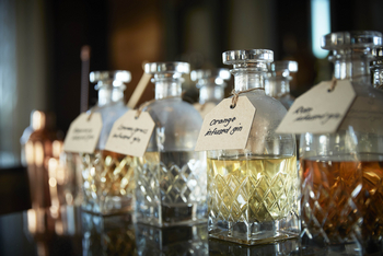 One and Only Gorilla's Nest: Details