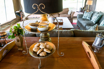 Papa's Camp: High Tea