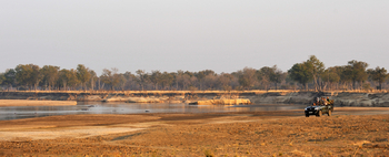 Shenton Safaris: Game Drives