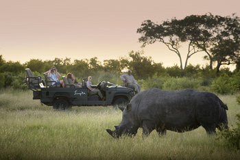 Singita Castleton: Gäste im Safariwagen beobachten Nashorn bei Sonnenuntergang