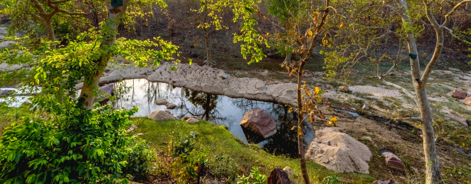 The Riverwood Forest Retreat The Riverwood Forest Retreat: Rock Pools