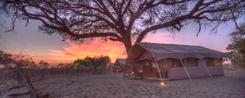 andBeyond Savute under Canvas andBeyond Savute under Canvas: Abendstimmung im Camp
