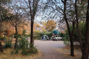 Boteti River Camp: Campsite