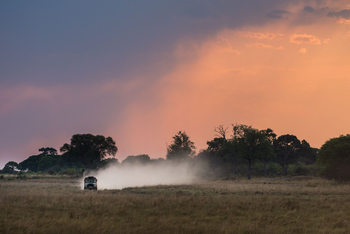 Chisa Busanga Camp Chisa Busanga Camp: Game Drive