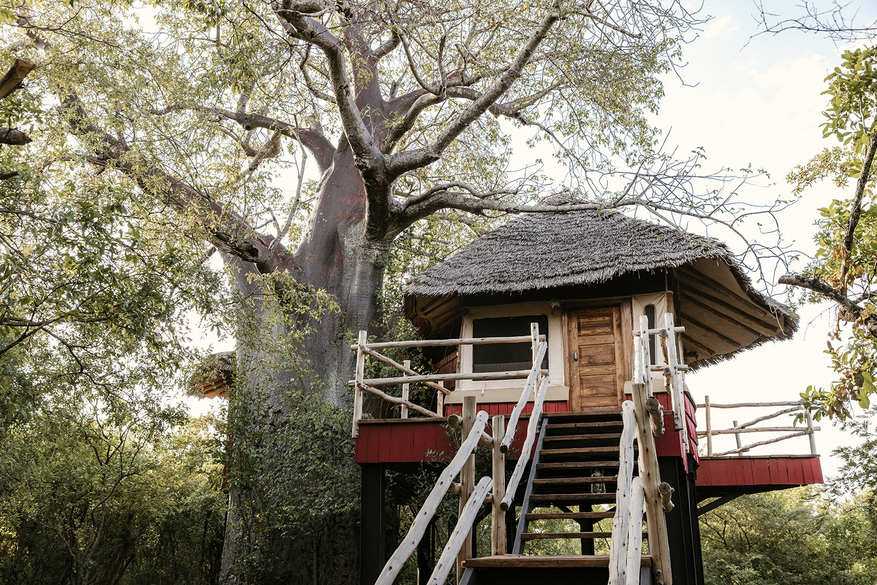 Elewana Tarangire Treetops