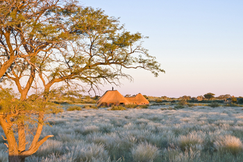 Kalahari Red Dunes Lodge: Lodge im Grasland