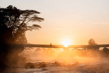 Ngare Serian Camp: Hängebrücke