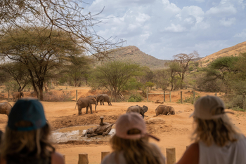 Reteti Elephant Sanctuary Reteti Elephant Sanctuary: Elefanten im Schlammbad