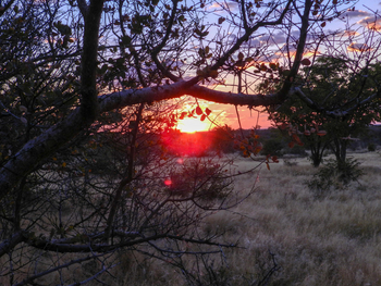 Taleni Etosha Village: Sonnenuntergang