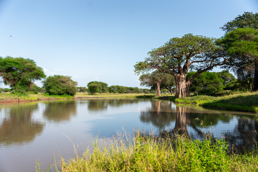 Tarangire Safari Lodge