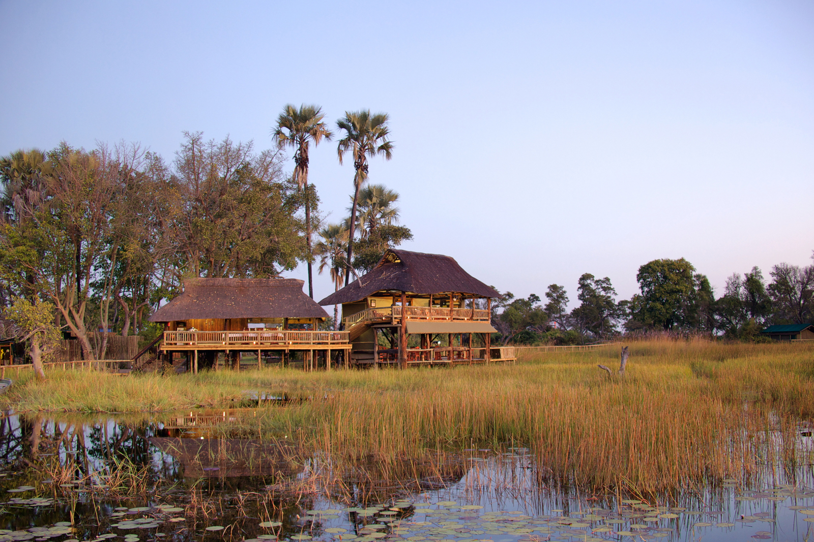 Gunn's Camp Gunn's Camp: Holzstrukturen