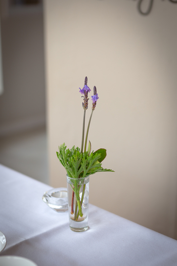 Cornerstone Guesthouse: Lavendel