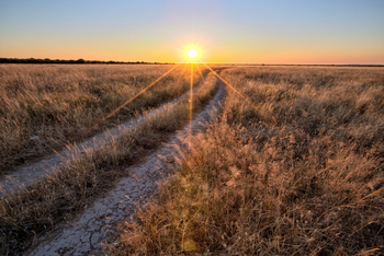 Etosha Heights Game Reserve: Tiere und Landschaft