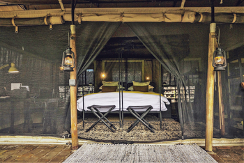 Forest Chem Chem: Doppelbett