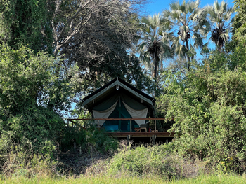 Kala Camp: Gästezelt - Lage unter Bäumen